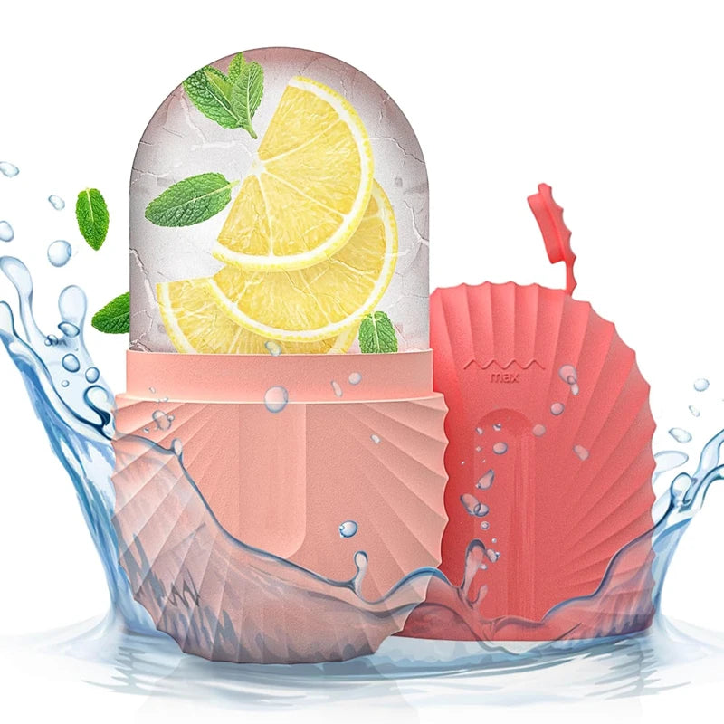 Product with salmon, lemon slices, and mint leaves on a white background