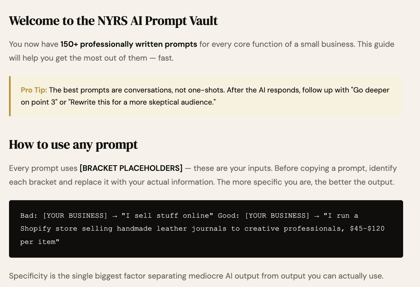 Screen shot of a guide on using AI prompts with bracket placeholders for business descriptions.